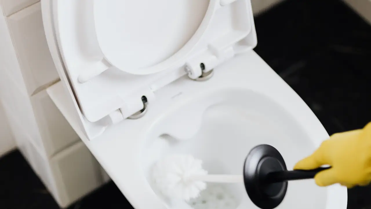Cost to unblock a clogged toilet